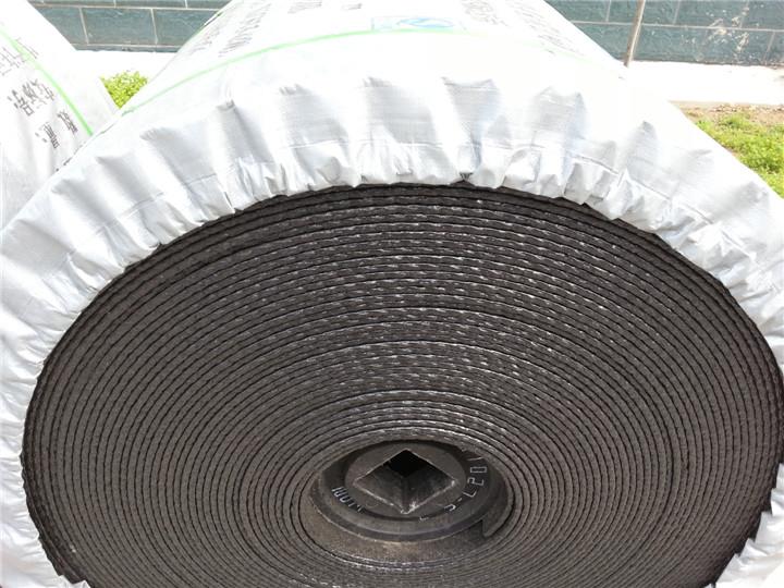 詳細(xì)說(shuō)明致使鋼絲繩芯輸送帶覆蓋膠面損傷的五(圖1)