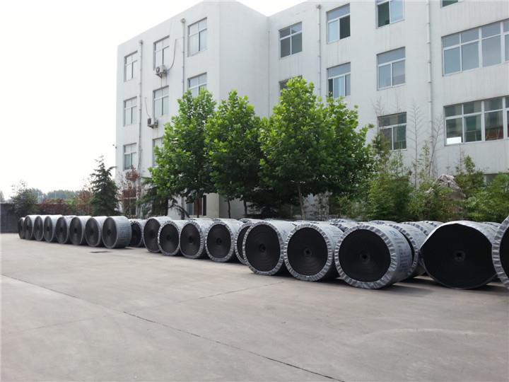 EP輸送帶(圖2) EP輸送帶(圖2)