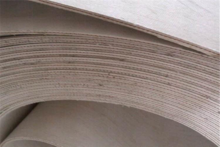 帆布分層輸送帶輸送黏性物質易沾料 解決方法在(圖1)